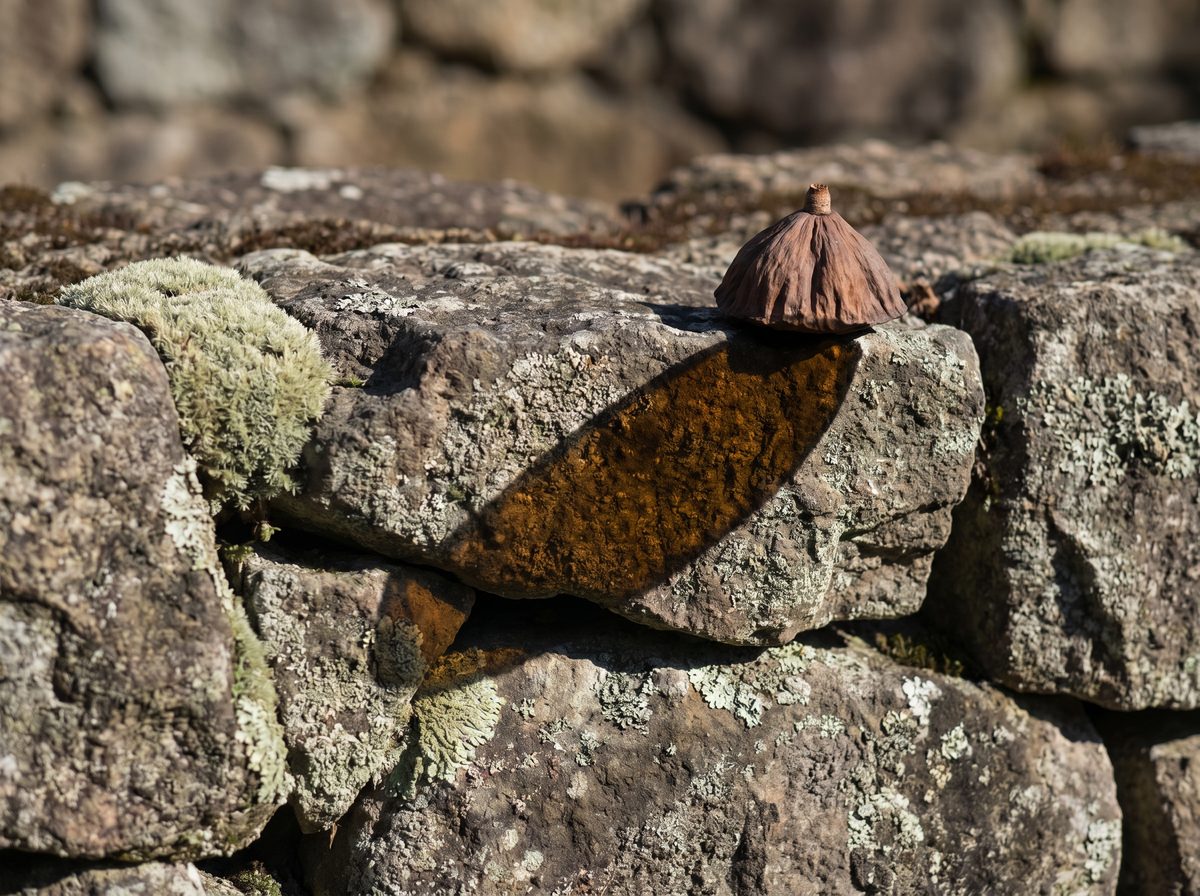 17C品牌故事 侘寂哲学与慢生活